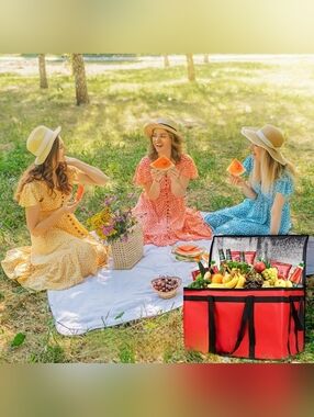 FIVE Insulated Cooler Bags Red, Black, and Purple